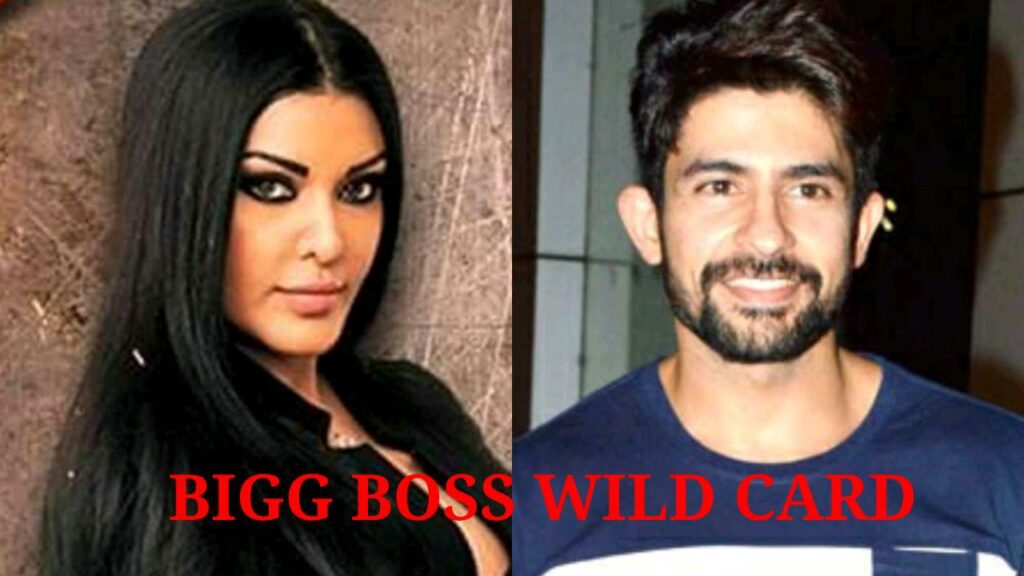 Bigg Boss 13: Koena Mitra, Khesari Lal Yadav, Hussain Kuwajerwala, Himanshi Khurana and Pratik Sehajpal to enter as wild cards?