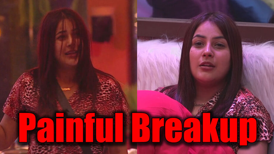 Bigg Boss 13: Shehnaaz Gill’s painful breakup REVEALED