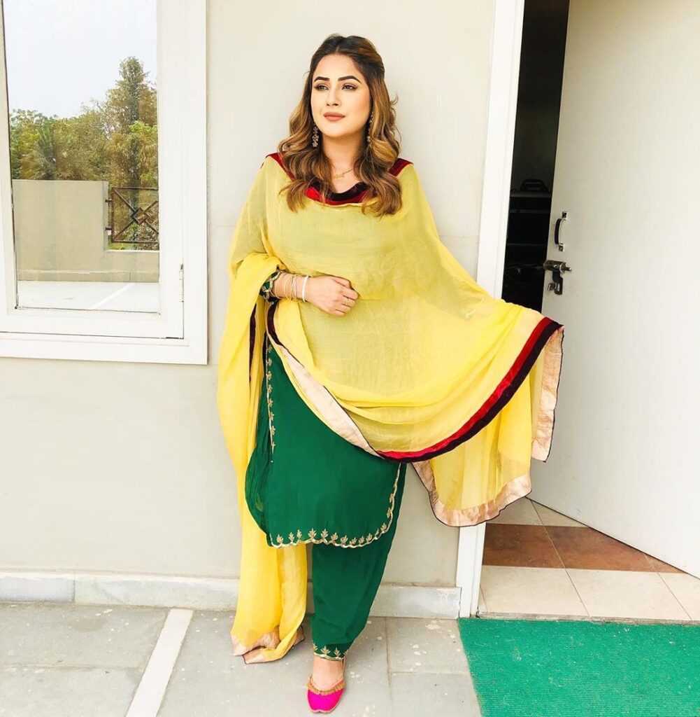 Bigg Boss contestant Shehnaz Gill’s desi avatar - 6