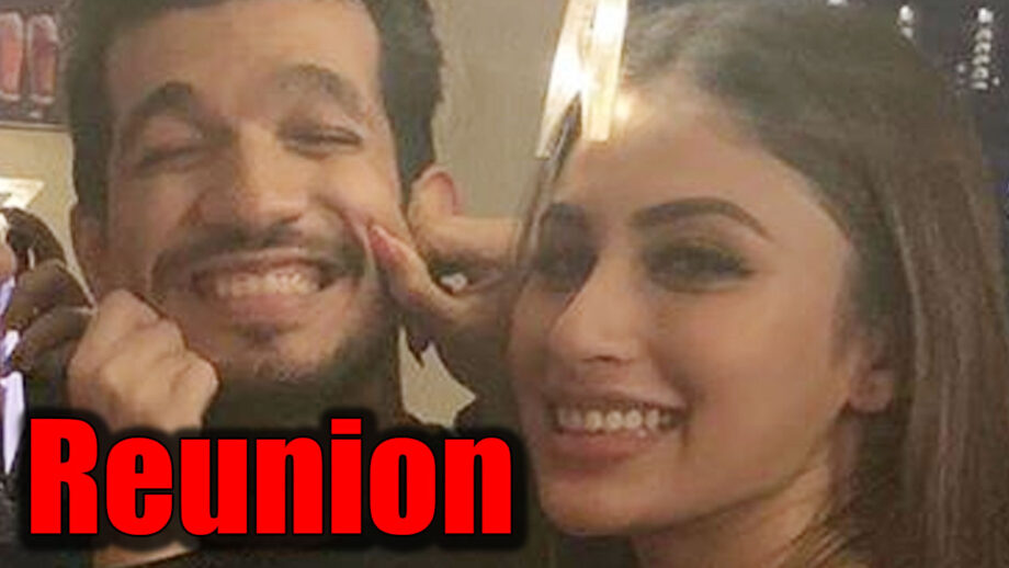 Naagin couple Arjun Bijlani and Mouni Roy reunite