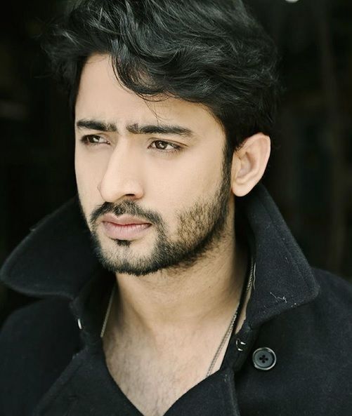 The rise of Shaheer Sheikh in television - 1