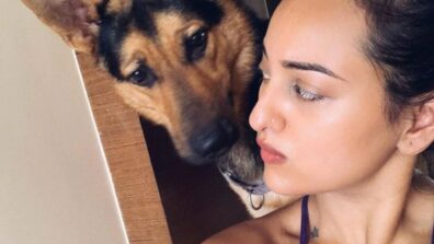 Sonakshi Sinha gets photobombed by her dog Bronze