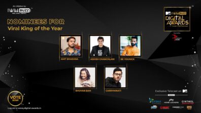 Vote Now: Who Is The Viral King of The Year? Amit Bhadana, Ashish Chanchlani, Be YouNick, Bhuvan Bam, CarryMinati