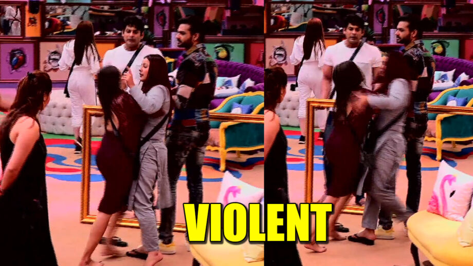 Bigg Boss 13: Himanshi gets violent and pushes Shehnaaz