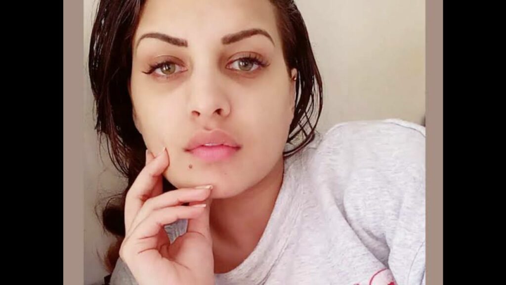 Everything you need to know about Bigg Boss 13 contestant Himanshi Khurrana - 3