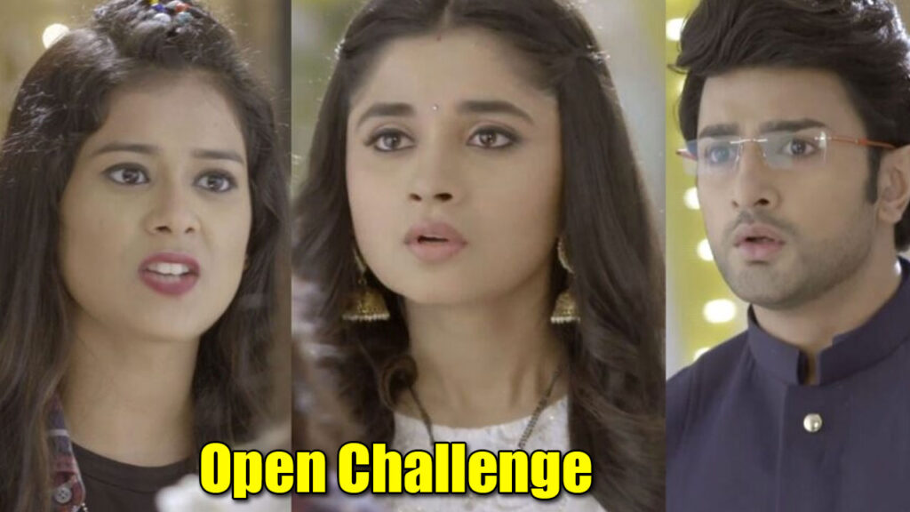 Guddan Tumse Na Ho Payega: Alisha throws a challenge at Guddan