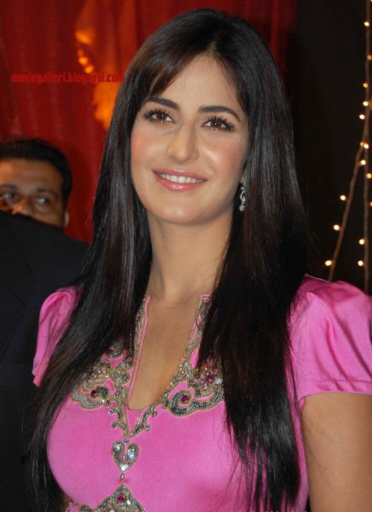 All The Reasons We Can’t Stop Gawking At Katrina Kaif - 1