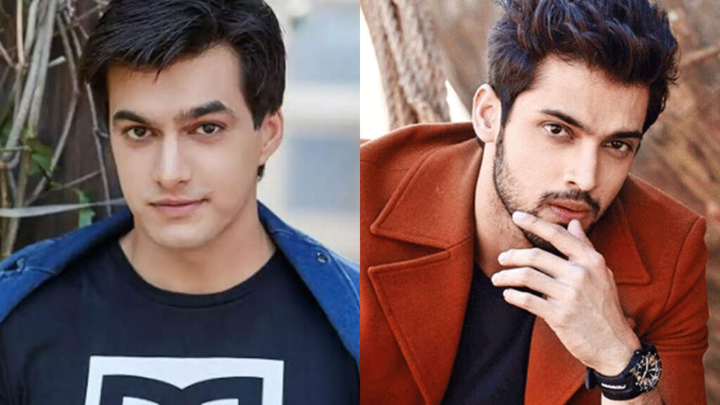 Mohsin Khan vs Parth Samthaan: The TV King