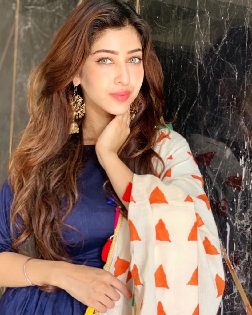 Sonarika Bhadoria exudes class in her Indian wear - 2