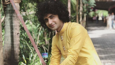 All you need to know about TV Krishna aka Sumedh Mudgalkar