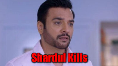 Yeh Hai Mohabbatein: Shardul KILLS to save himself