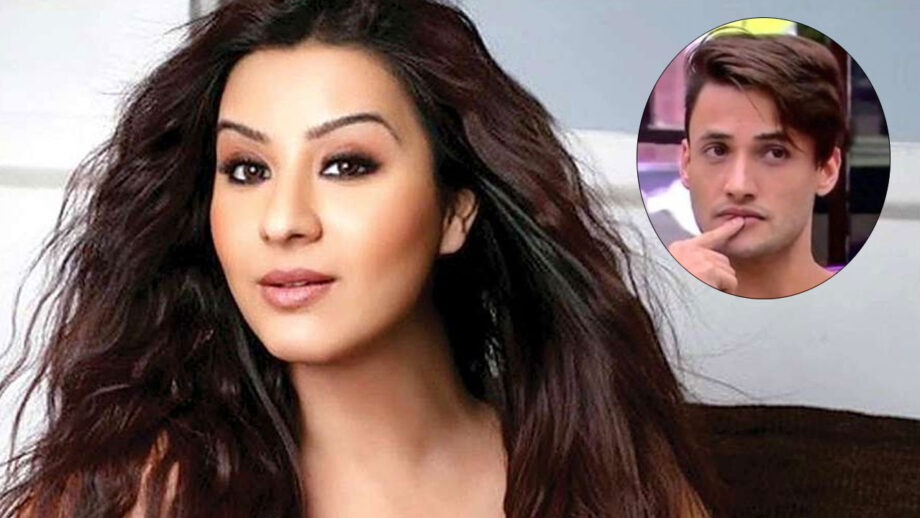 Bigg Boss 13 contestant Asim is most genuine: Shilpa Shinde