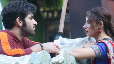 Bigg Boss 13: Mahira Sharma and Paras Chhabra Controversial Love Story