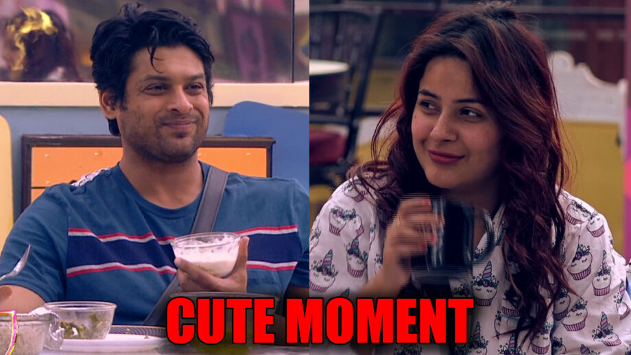 Bigg Boss 13: Sidharth Shukla and Shehnaaz Gill’s cute moment