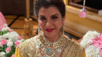 Choti Sarrdaarni’s powerful story and team set it apart from other shows: Anita Raj 