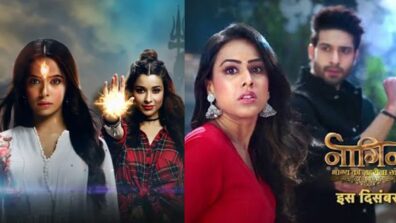 Divya Drishti or Naagin: Who wins the supernatural game?