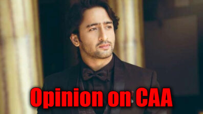 Extremists and fanatics are not good for any society: Shaheer Sheikh on CAA