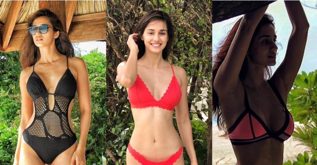 Hottest Disha Patani Bikini Pictures Will Make You Fall In Love With Her 3