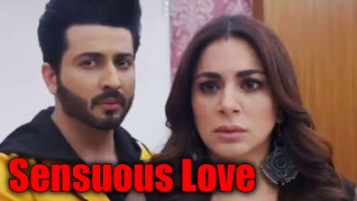 Kundali Bhagya Update: Karan and Preeta’s sensuous love made our day