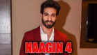 My character is completely different in Naagin 4: Vijayendra Kumeria