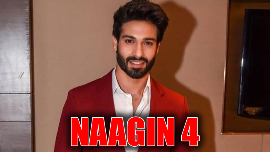 My character is completely different in Naagin 4: Vijayendra Kumeria