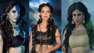 Naagin 4 has started and we miss these Naagins from the  previous seasons