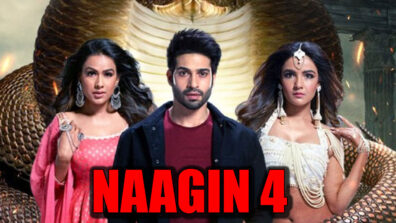 Best Scenes from Naagin – Bhagya Ka Zehreela Khel