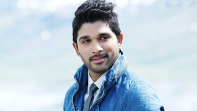 Top 10 movies of Allu Arjun