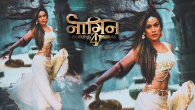 Are you a die-hard fan of Naagin 4 Then tick this off your list