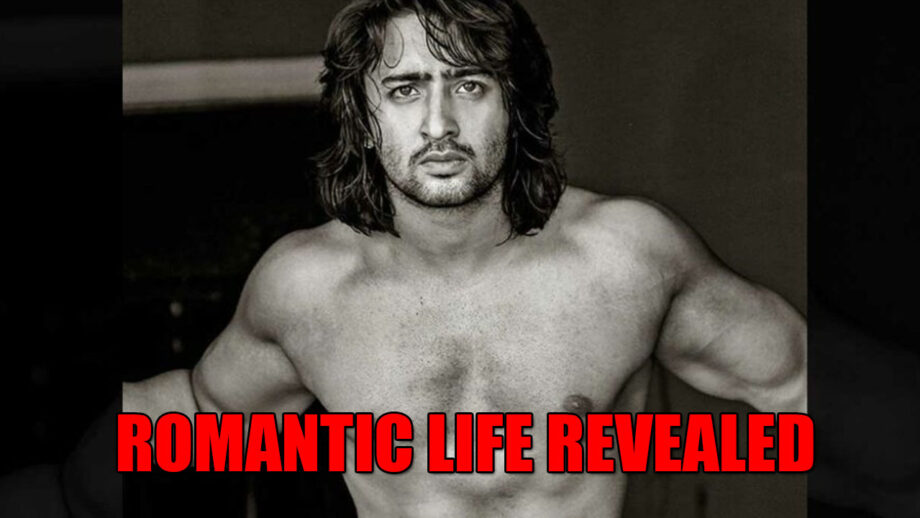 REVEALED: Shaheer Sheikh's ROMANTIC life details