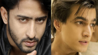 Shaheer Sheikh VS Mohsin Khan: Who is the hottest telly hunk?