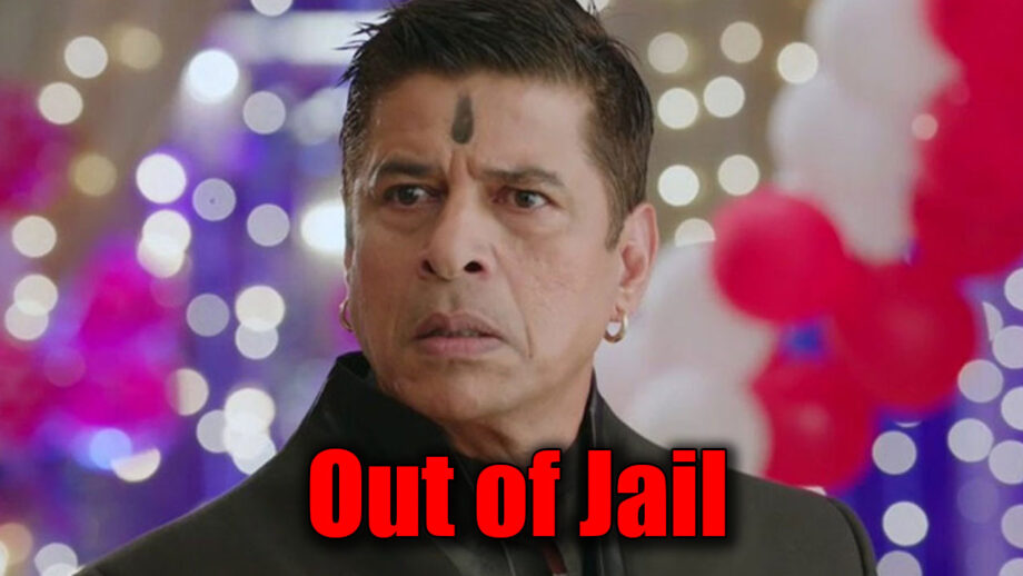 Shakti Astitva Ke Ehsaas Ki: Harak Singh gets released from jail