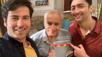 Yeh Rishtey Hain Pyaar Ke: Shaheer Sheikh and Ritvik Arora celebrate the birthday of Nanu in style