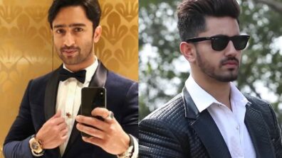 Shaheer Sheikh VS Zain Imam: Telly town’s hunk