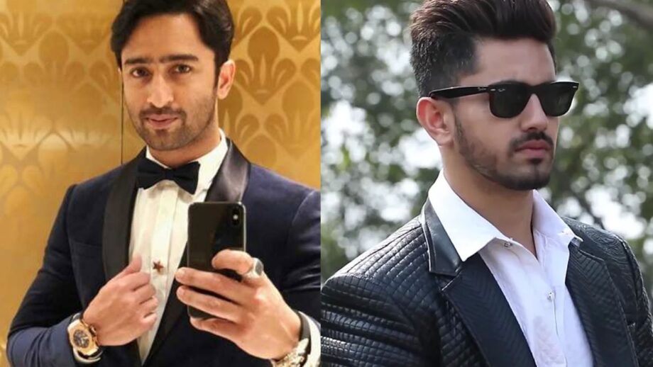 Shaheer Sheikh VS Zain Imam: Telly town's hunk