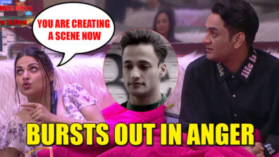 Bigg Boss 13: Jealous Asim Riaz gets angry on Vikas Gupta and Himanshi Khurana