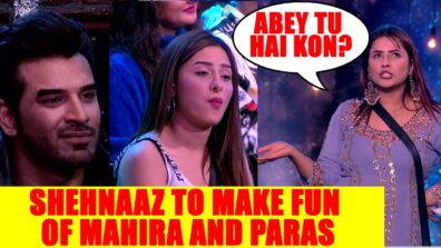 Bigg Boss 13: Shehnaaz to make fun of Mahira and Paras