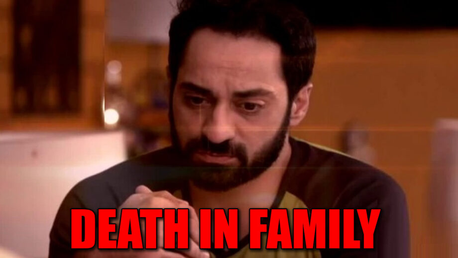 Death in Yeh Hai Mohabbatein actor's family