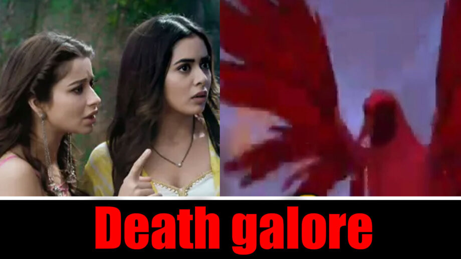 Divya Drishti: Laal Chakor creates DEATH galore