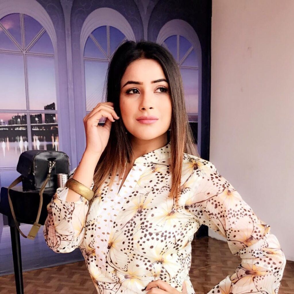 Instagram Queen of the Week: Shehnaaz Gill - 5