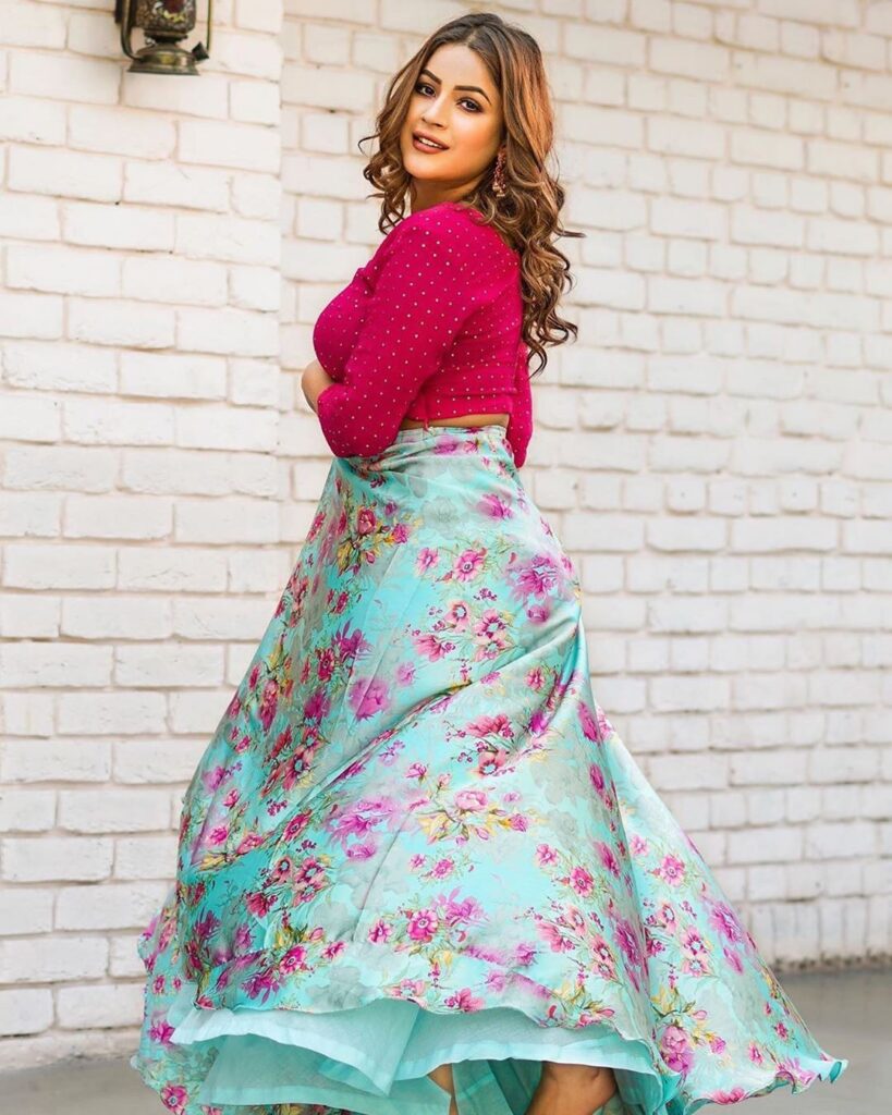 Instagram Queen of the Week: Shehnaaz Gill - 6