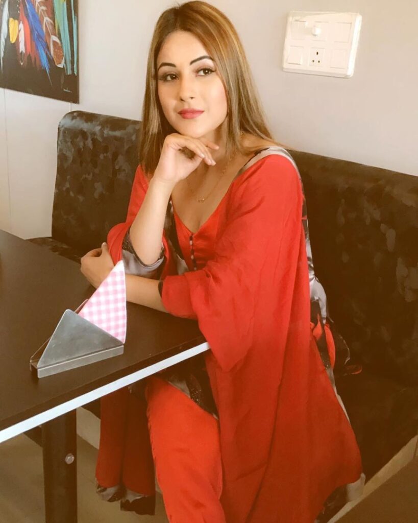 Instagram Queen of the Week: Shehnaaz Gill - 1