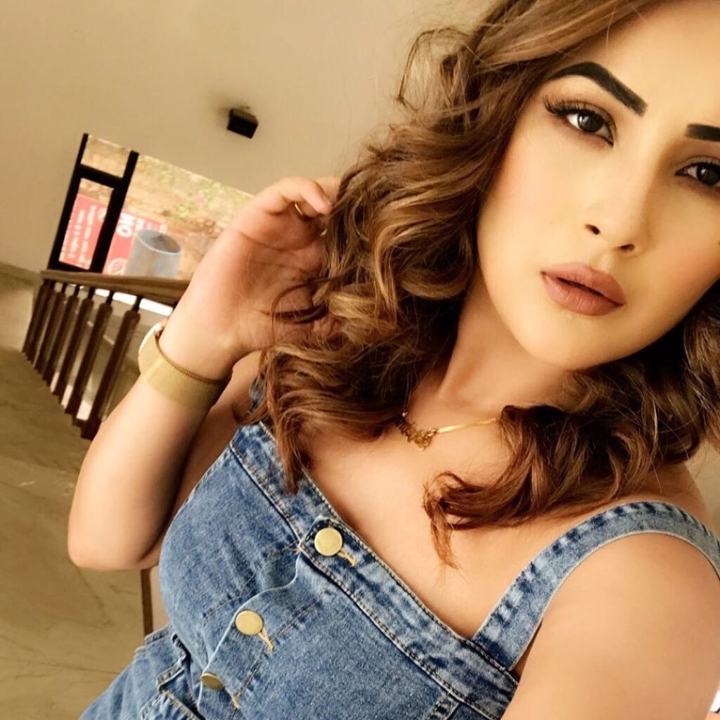 Instagram Queen of the Week: Shehnaaz Gill - 0