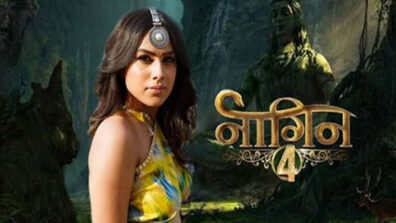 Are you truly a fan of Naagin 4? Take a test