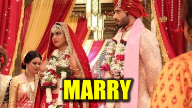 Naagin – Bhagya Ka Zehreela Khel: Brinda and Dev to marry