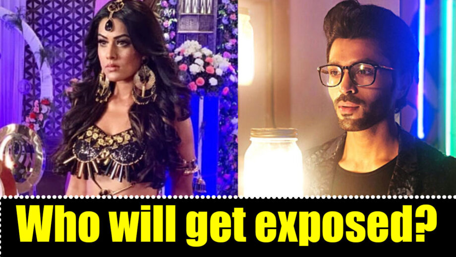 Naagin – Bhagya Ka Zehreela Khel: Brinda or Manas – Who will get exposed?