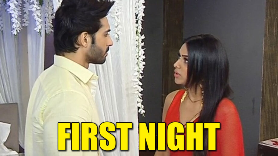 Naagin – Bhagya Ka Zehreela Khel: Dev and Brinda's first night