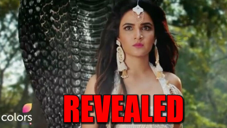 Naagin – Bhagya Ka Zehreela Khel: Nayantara’s real identity REVEALED