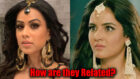 Naagin – Bhagya Ka Zehreela Khel: Relation between Nayanthara and Brinda will shock you
