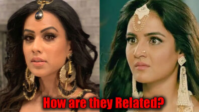 Naagin – Bhagya Ka Zehreela Khel: Relation between Nayanthara and Brinda will shock you